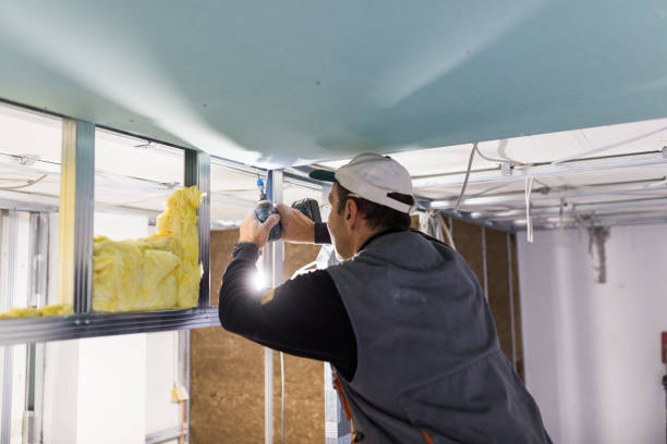 Best Fiberglass Insulation in Sergeant Bluff, IA