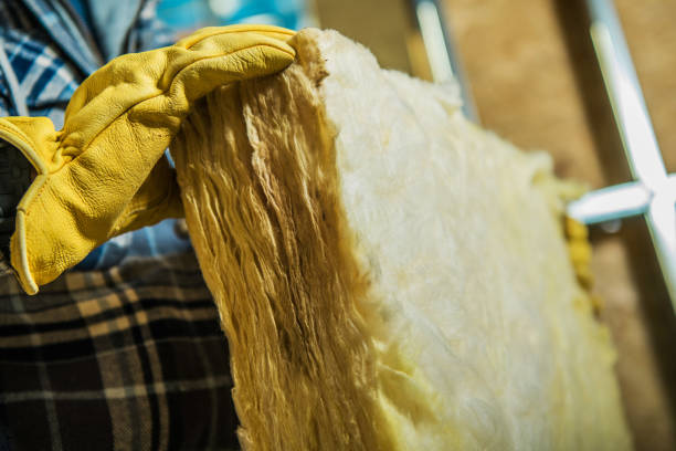 Best Cellulose Insulation in Sergeant Bluff, IA