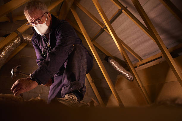 Best Spray Foam Insulation in Sergeant Bluff, IA